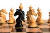 Svadilfari Stallion Series Chess Pieces Boxwood & Ebony 4.4" king-0